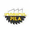 ՊԻԼԱ ՍՂՈՑԱՐԱՆ logo